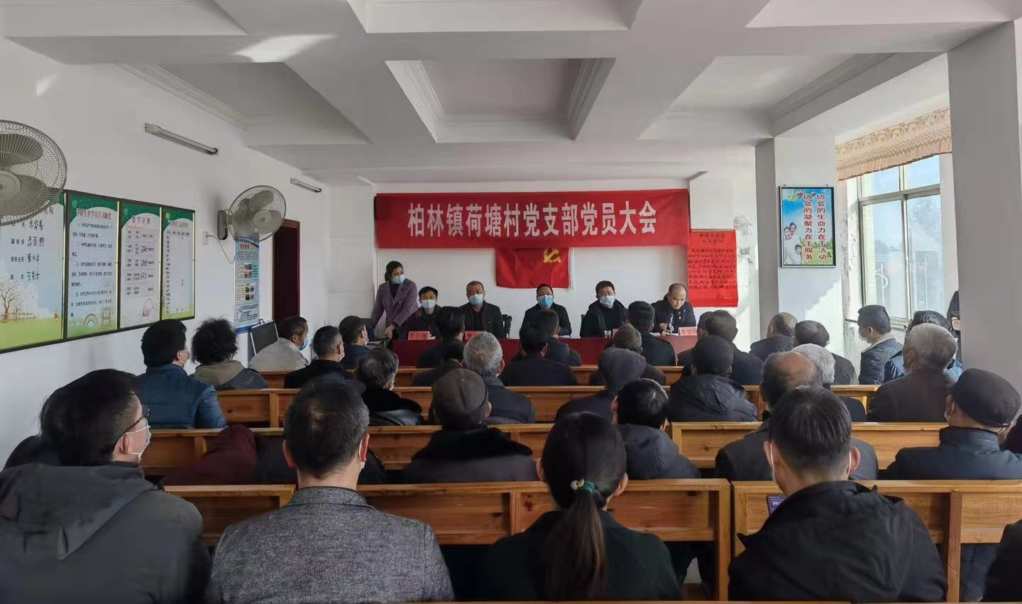 永兴县柏林镇各村党支部换届选举党员大会有序推进