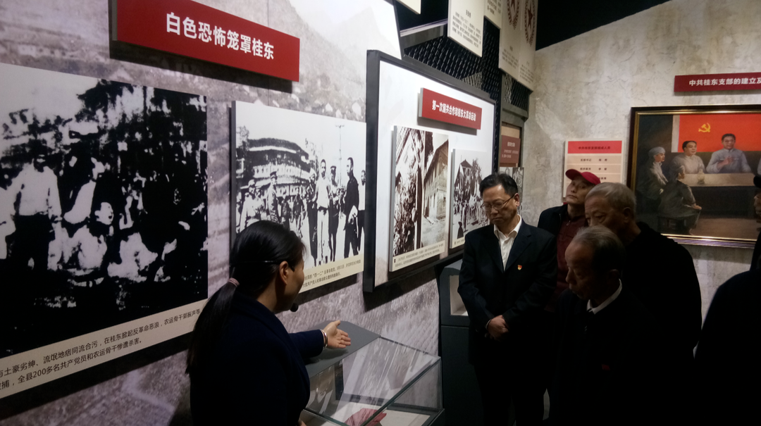 永兴县政府办第六支部：在党史学习教育中感悟初心使命