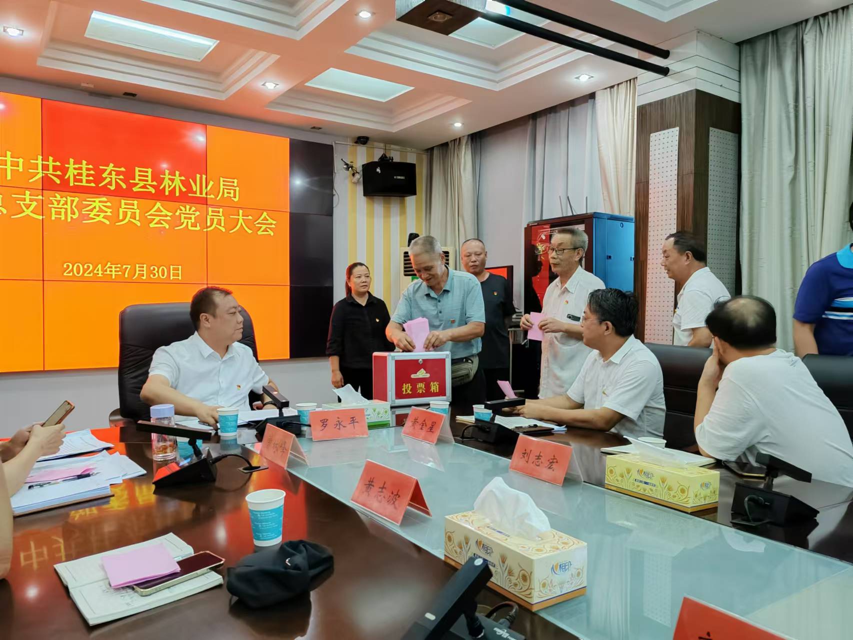 桂东县林业局：迈出新步伐 展现新气象