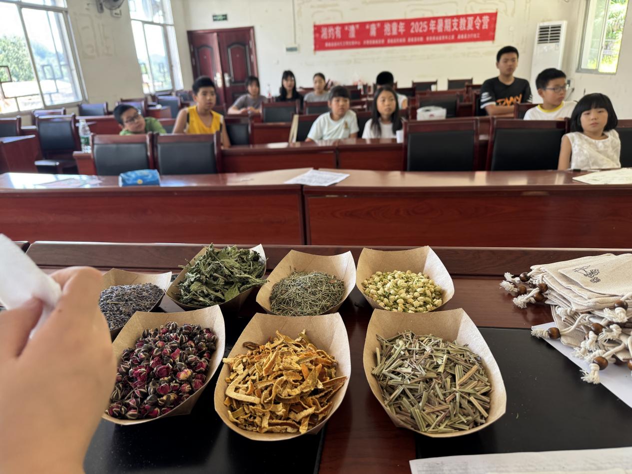 湘约有“澧” “庸”抱童年：趣味课堂传承中医药文化