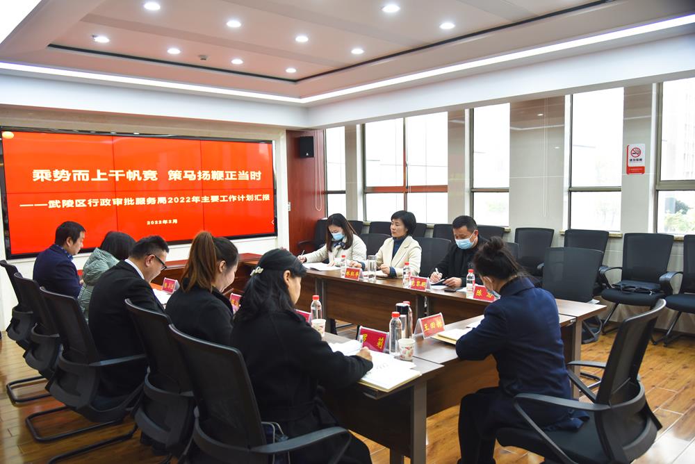区领导林红华赴区行政审批服务局调研指导工作