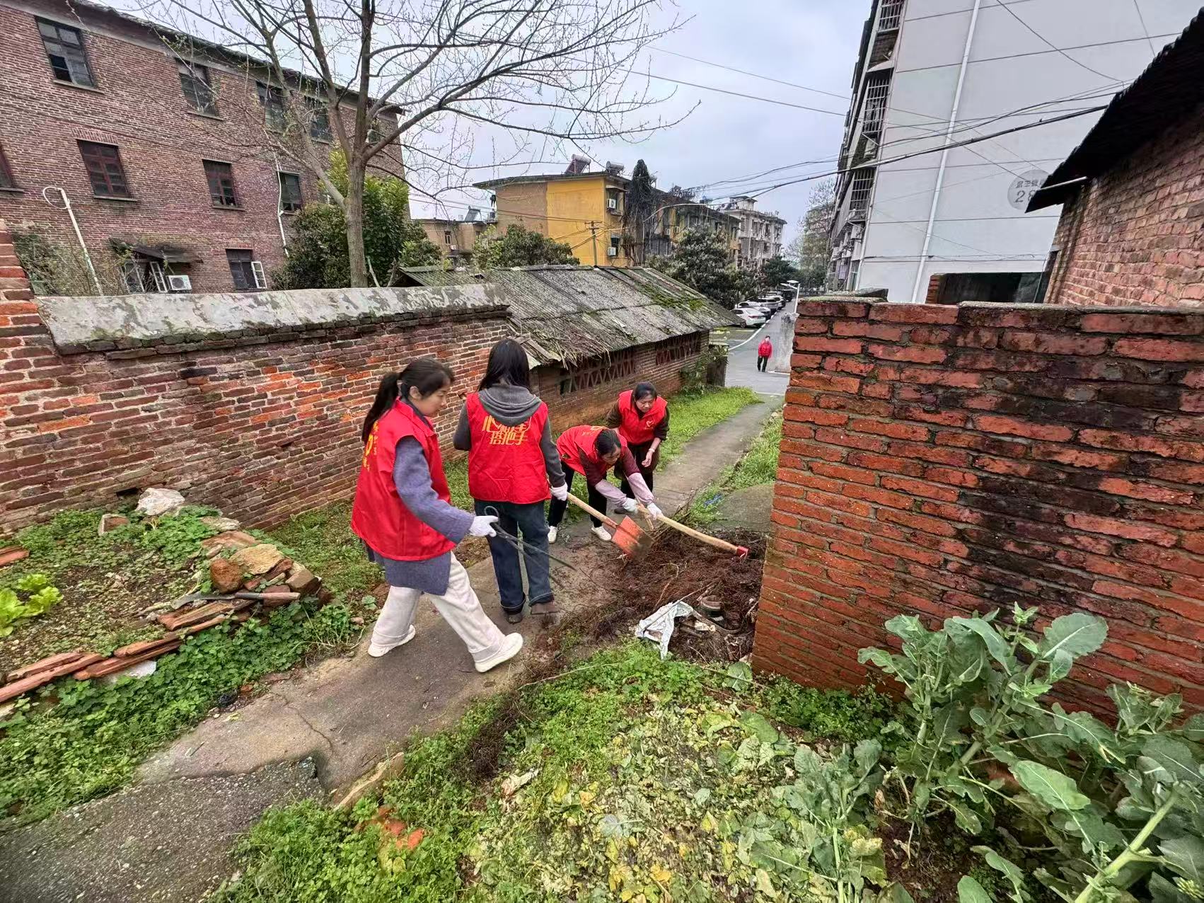 雨湖区楠竹山镇“双提升”工作之十八丨楠竹山镇：以“双提升”破题 跑出环境治理“加速度