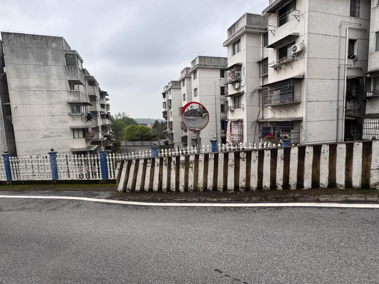 雨湖区楠竹山镇“双提升”工作之二十二丨楠竹山镇：聚焦“小切口”解民忧 消除视线盲区护出行