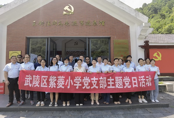 武陵区紫菱小学：强党性，铭初心