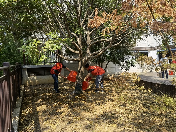 武陵区紫菱小学：守护校园绿色  争做志愿先锋