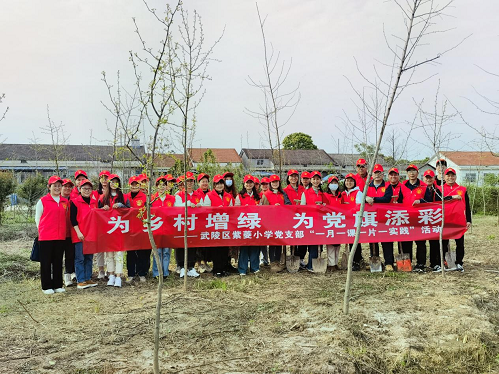 武陵区紫菱小学：开展“一月一课一片一实践”活动