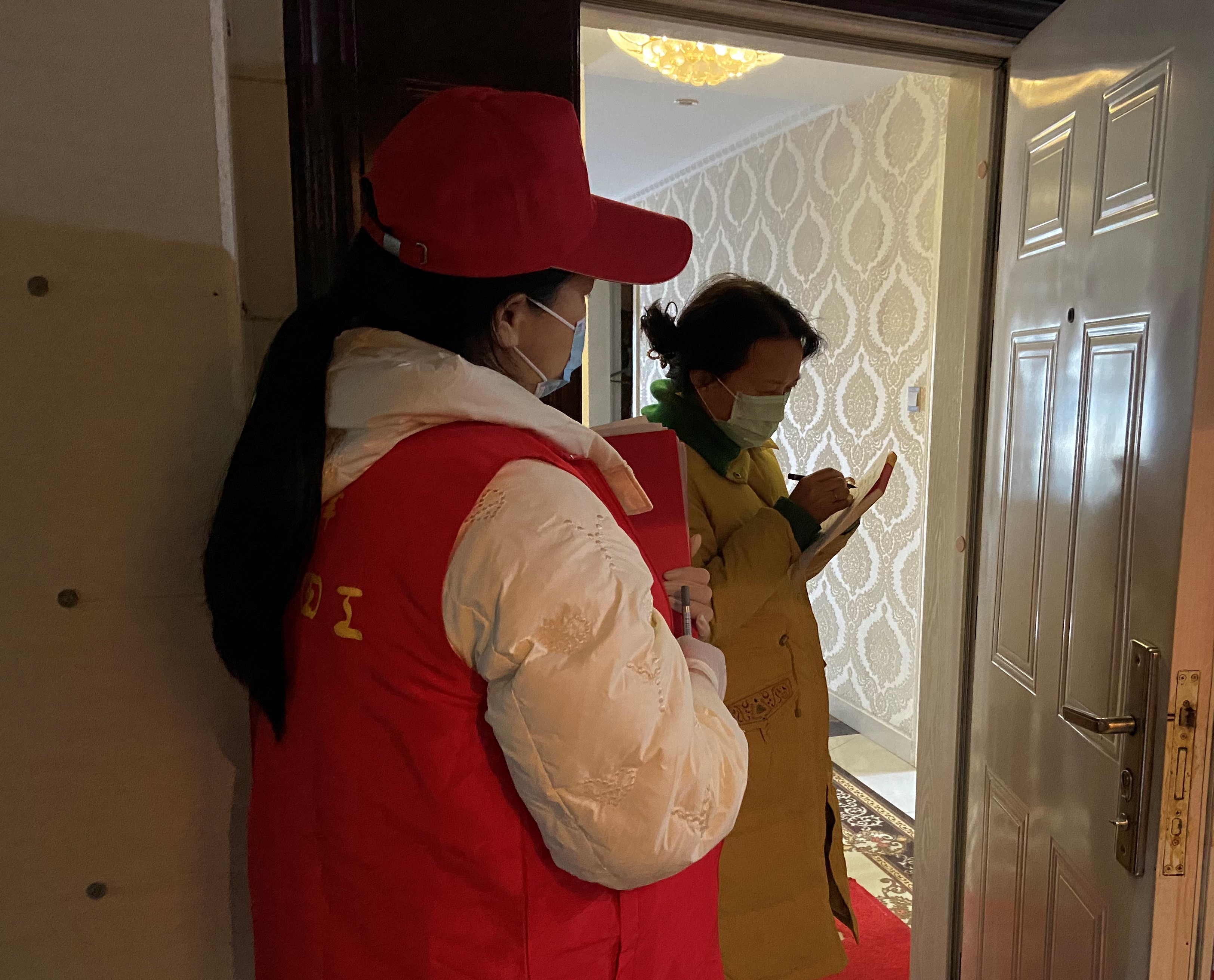 武陵区丹洲乡：政协委员齐助力  携手同心共防疫