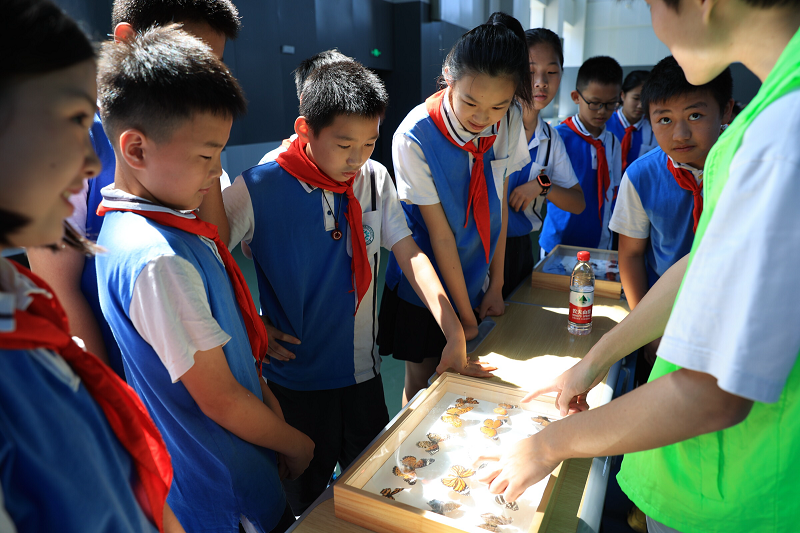 武陵区第五小学开展“爱美丽的生命”科技心育嘉年华活动