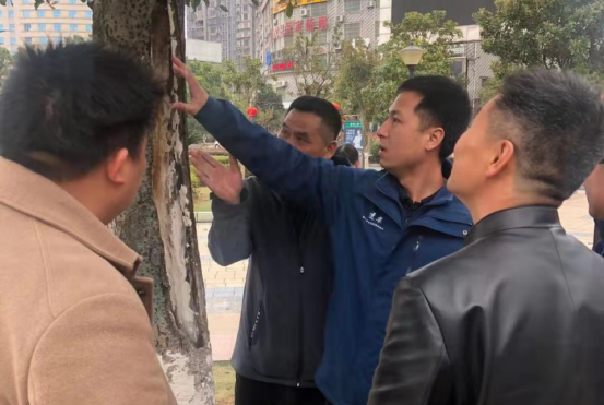 业务培训力促园林养护水平再提升