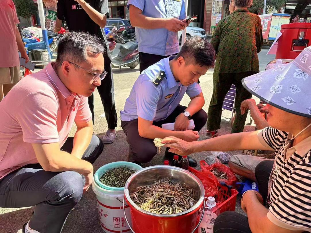 杨林镇开展预误食防野生蘑菇中毒宣传活动