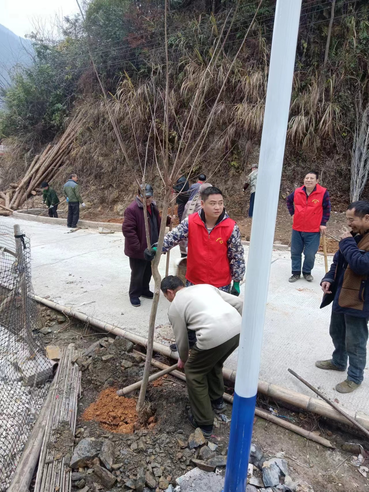 洞口县长塘瑶族乡林家村：开展植树造林   建设美丽乡村