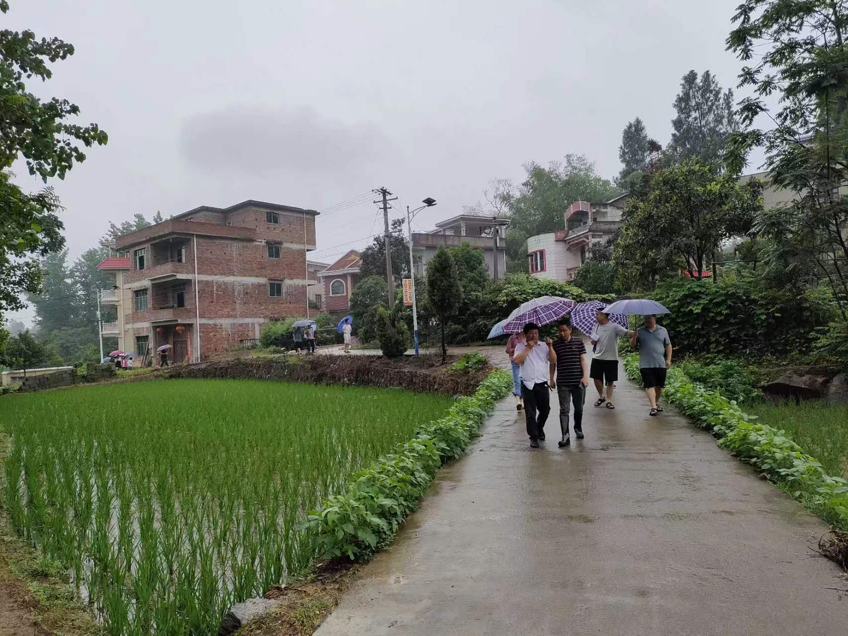 水东镇开展农村人居环境卫生大检查