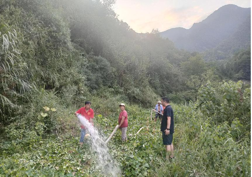 高温炙烤 大旱来袭 桑植县驻村队全力抗旱保收成