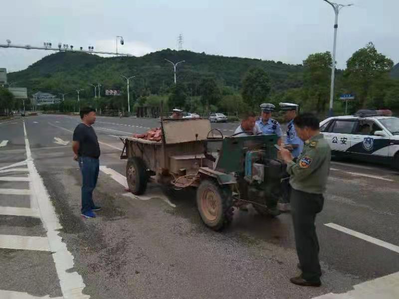 岳塘区农业农村局：开展拖拉机道路交通安全联合执法行动