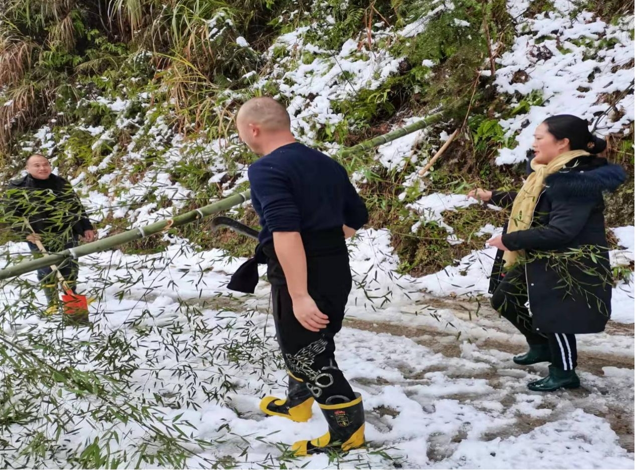 桐山乡： 除雪清障保畅通