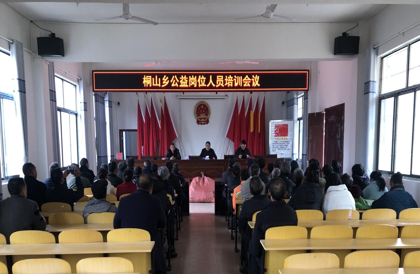 桐山乡加强“四员”联动，共创“六零”乡村