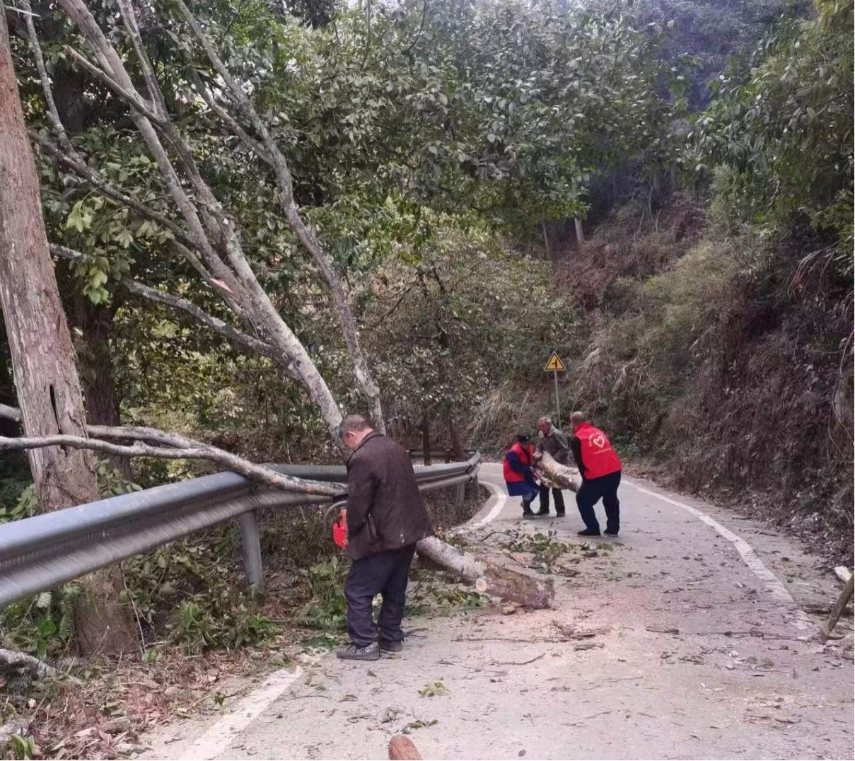 桐山乡龙桥村：支部引领聚合力 党员先行显担当