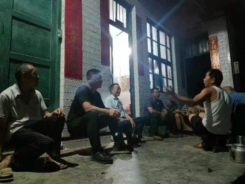 桐山乡马颈村: 守牢耕地红线，让“粮田”回归本色