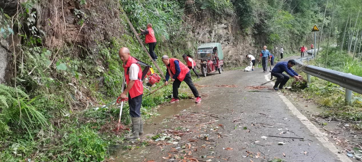 桐山乡龙桥村：清扫道路障碍 保障群众出行安全