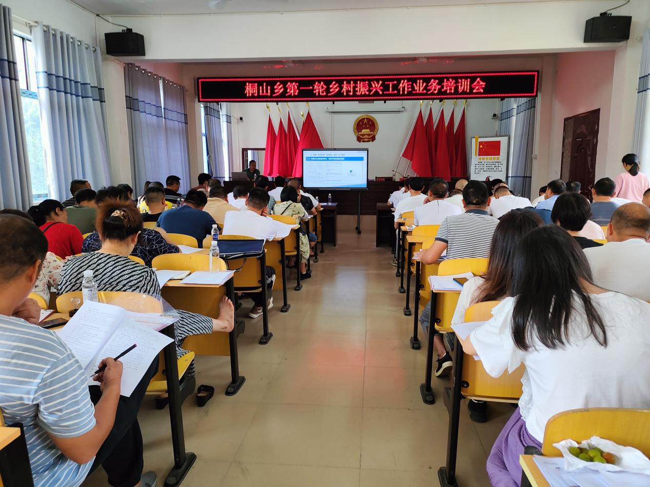 桐山乡开展乡村振兴工作业务培训