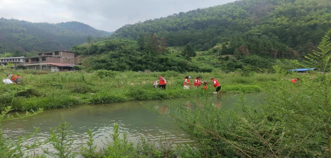 桐山乡：巩固水环境成果，共建共享美丽家园