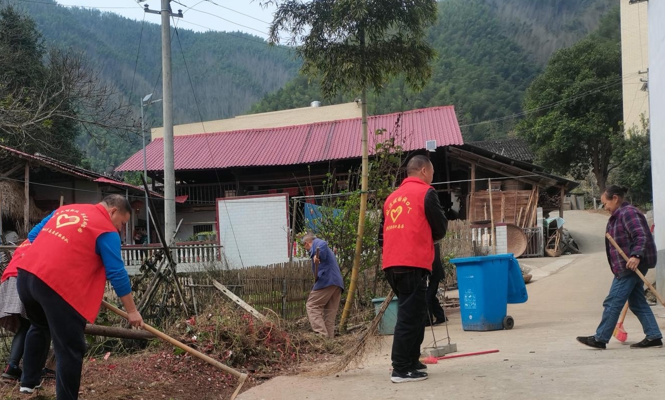 桐山乡：开展人居环境整治，助力营商环境优化