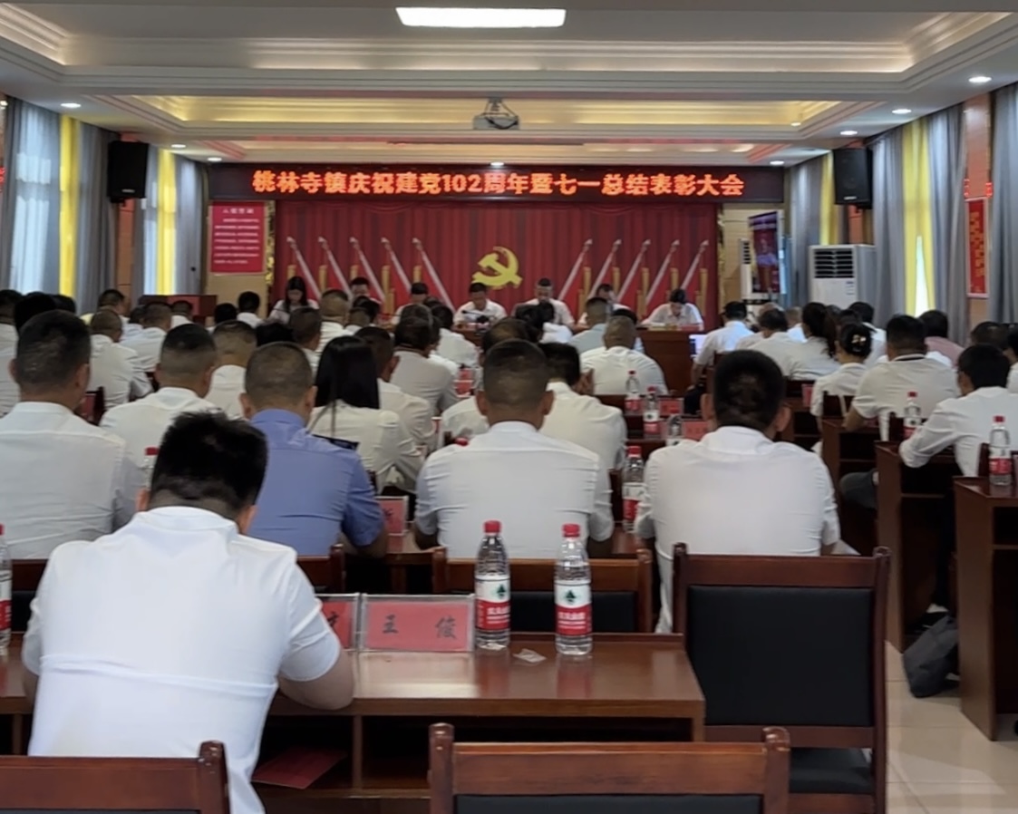 庆七一，桃林寺镇党员捐赠教育基金20万元