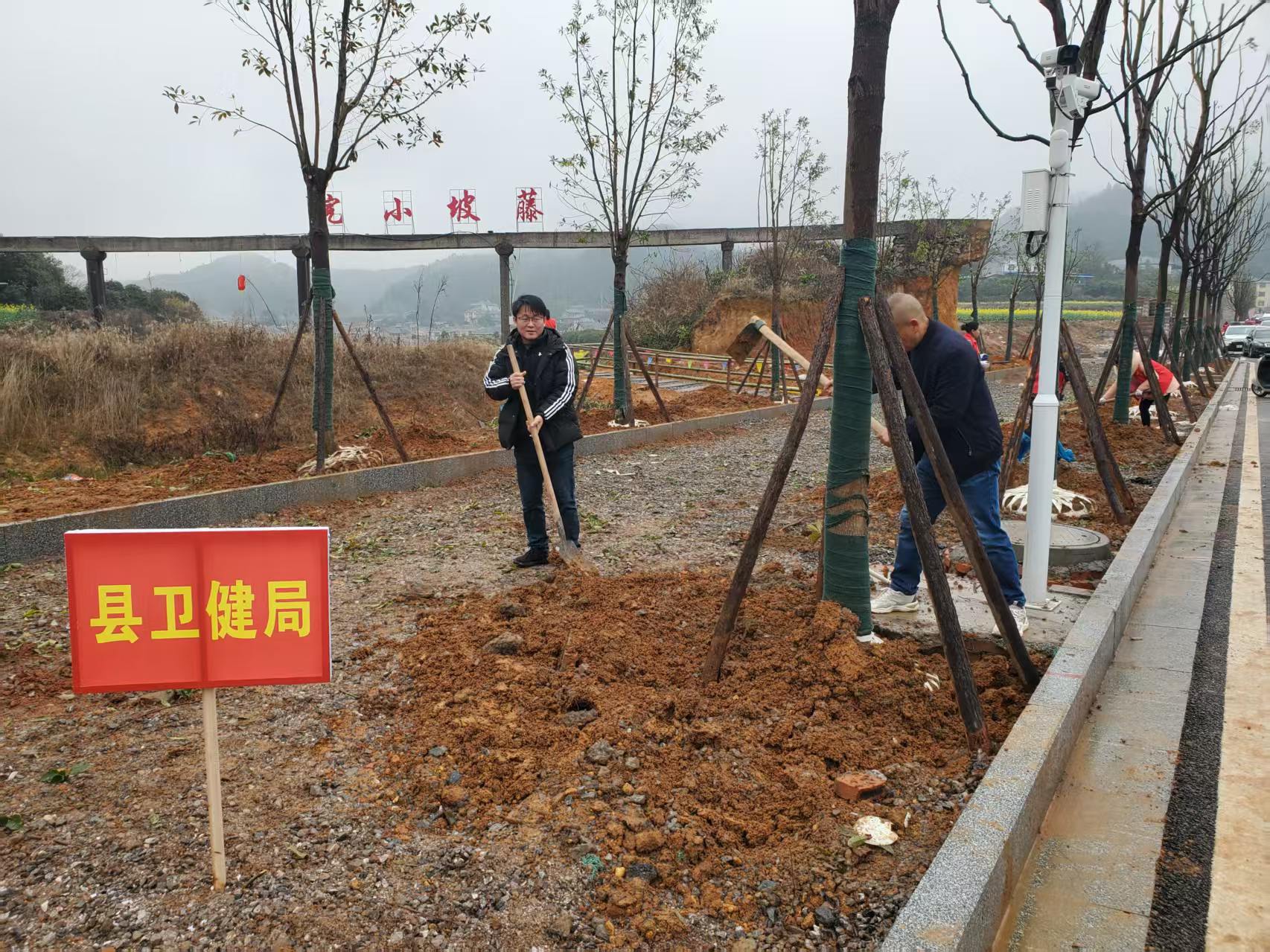 “植”此青绿 共“树”健康！中方县卫健局开展2025年度全民义务植树活动