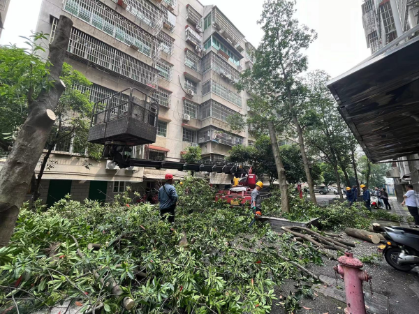 大橋社區(qū)：“三治”融合聚民心 共建幸福同“鑫”圓