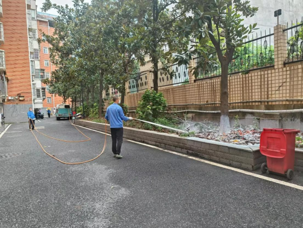 建設路社區(qū)：滅白蟻除隱患 辦實事解民憂