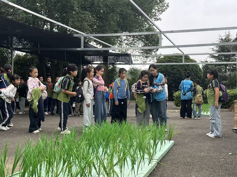 鼎城区江南小学：田野里的“红色剧本杀”
