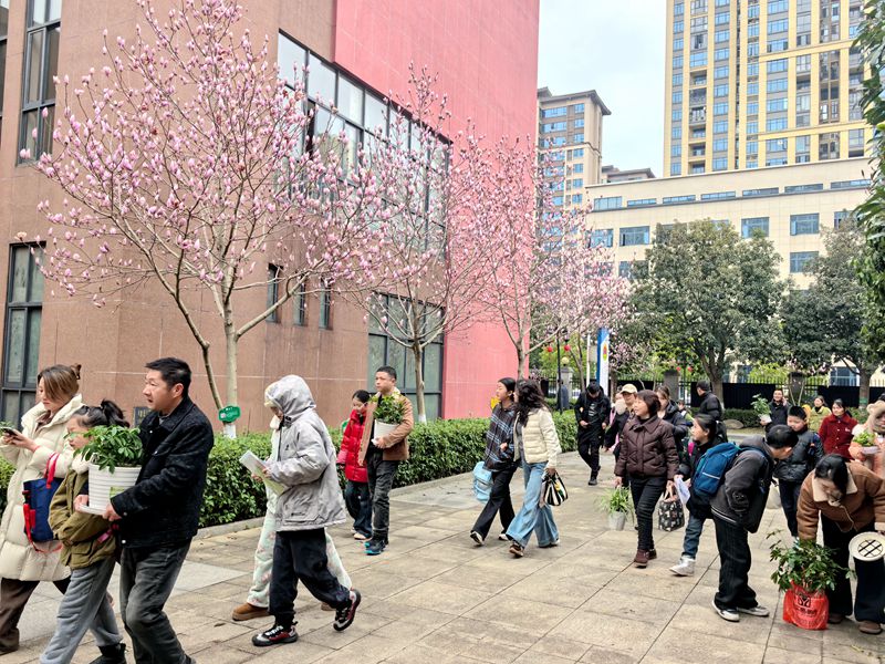 鼎城区江南小学：春归校园 梦启新篇
