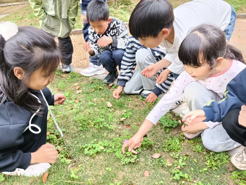 鼎城区江南小学：小手绘生命 春日爱相伴