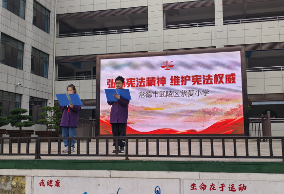 武陵区紫菱小学开展宪法宣传周活动