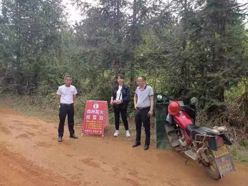 舜峰镇：人大代表主动作为 筑牢森林防火“安全墙”