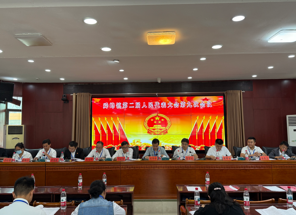 临武县舜峰镇第二届人民代表大会第九次会议召开