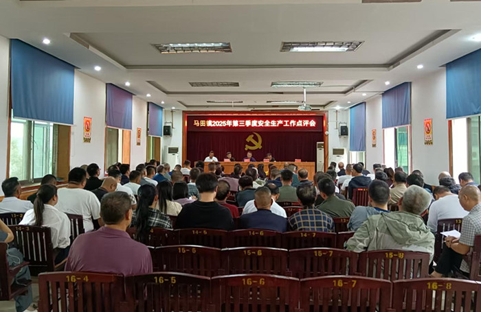 永兴县马田镇：对照责任清单逐项点评 推进安全监管走深走实