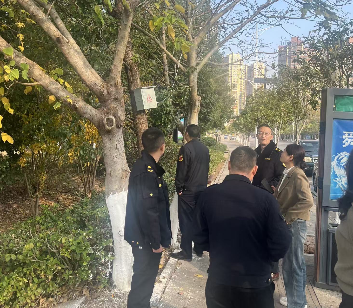 临武县城管局开展公园“飞线”取电专项整治行动