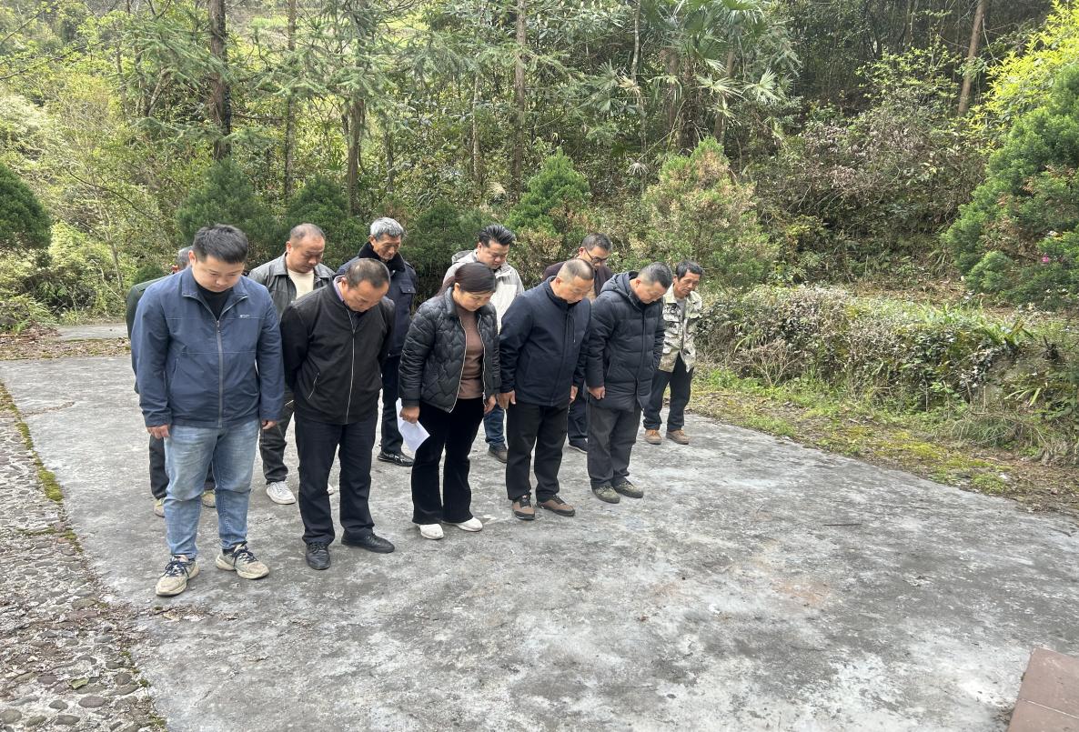 高峰镇石门寨村：开展清明祭英烈志愿服务活动