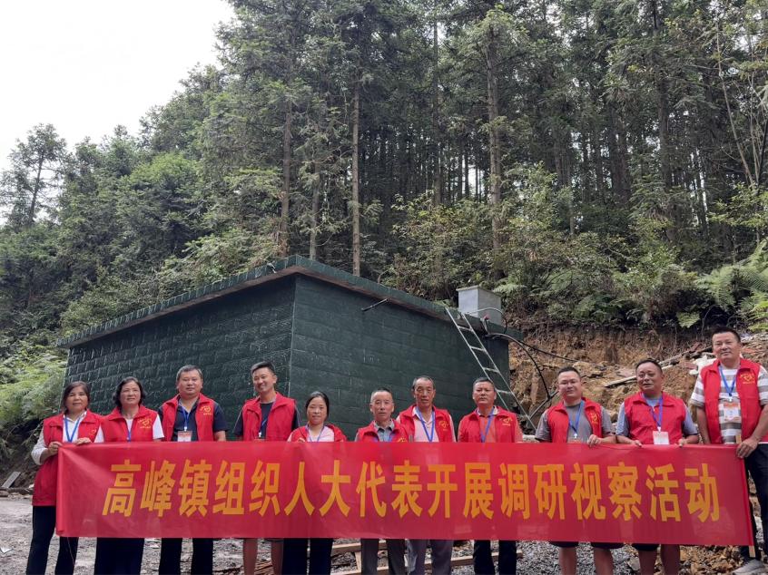 高峰镇：聚焦群众关切  以监督“力度”守护民生“温度”