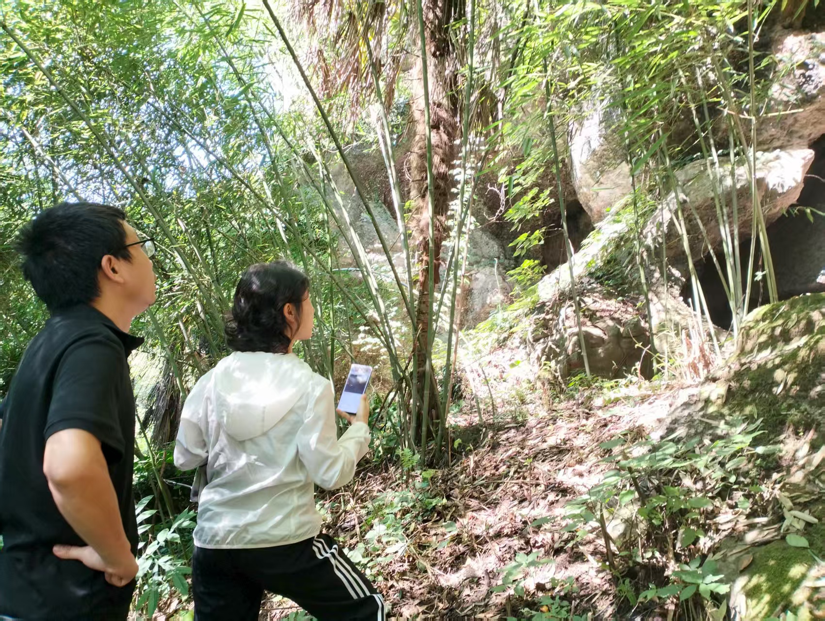 高峰镇：天坑溶洞污染再摸排 筑牢生态屏障见实效