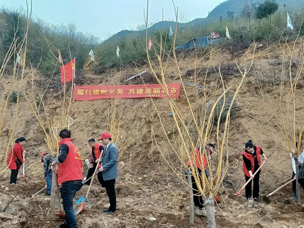 履行植树义务  共建美丽花古