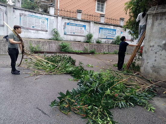 芙蓉社區(qū)：居民代表共聚力 服務(wù)大眾解民憂