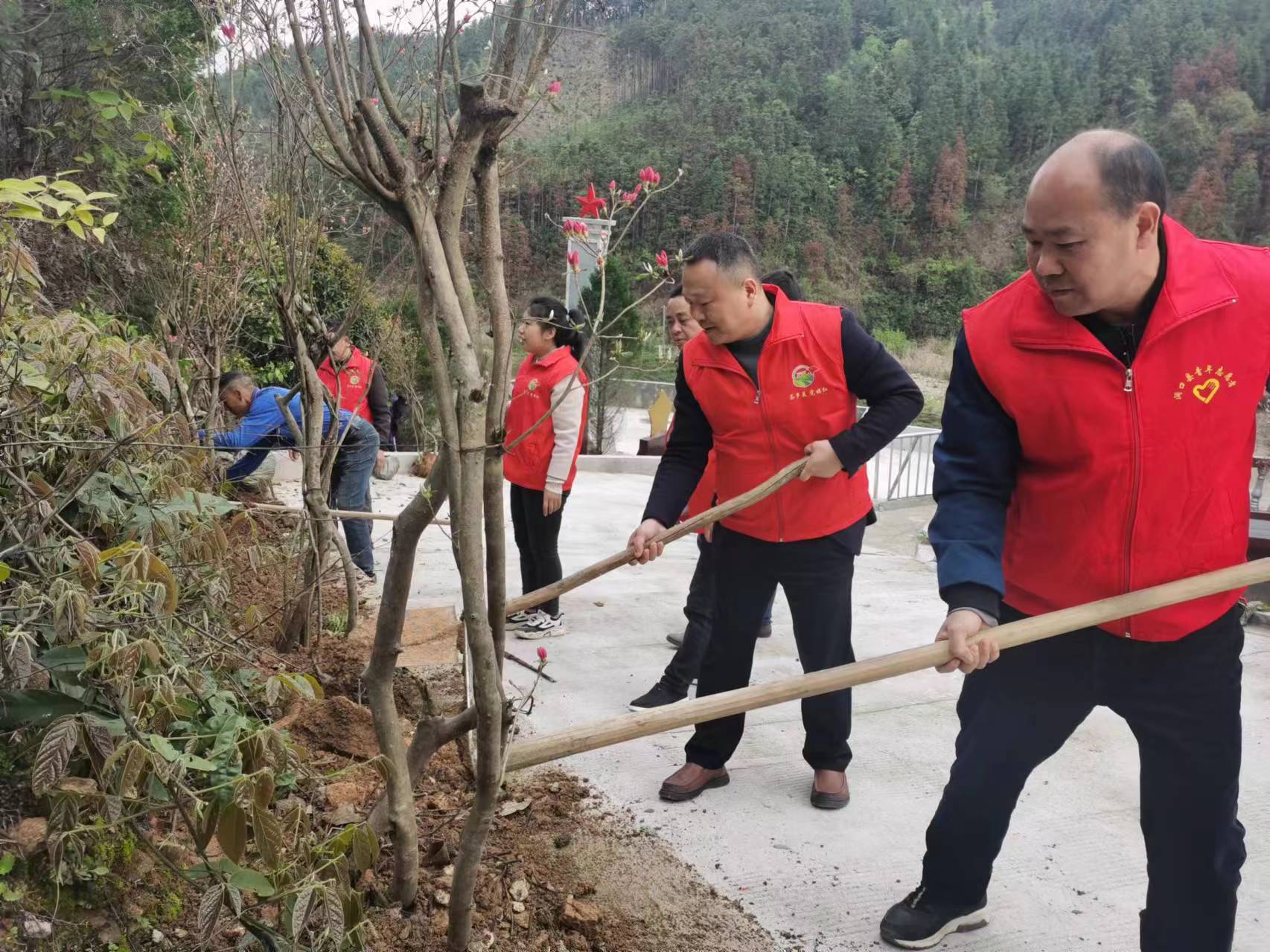 古楼乡：“志愿红”扮靓“生态绿”   各族群众共植团结林
