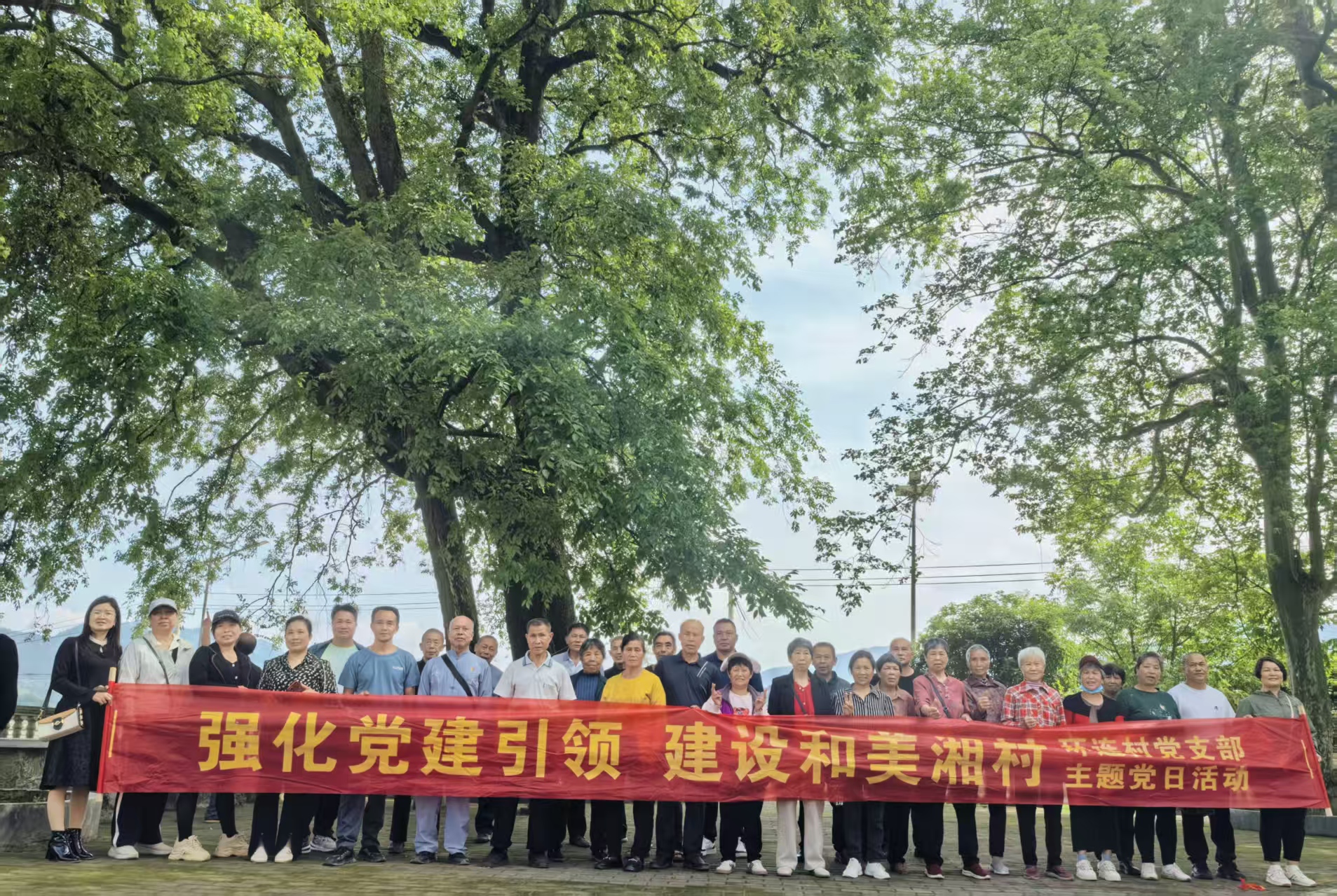 楠市镇：学习先进经验 共建美丽乡村
