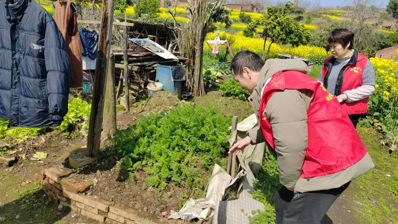 合江街道筑牢无毒防线：七里井社区开展禁种铲毒专项行动