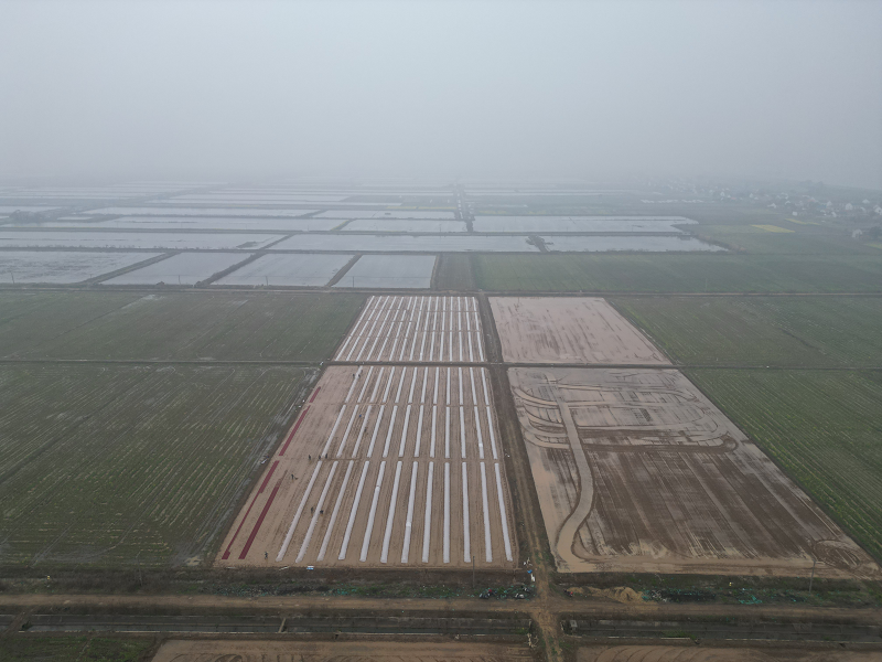 白塘镇：田间地头育秧热