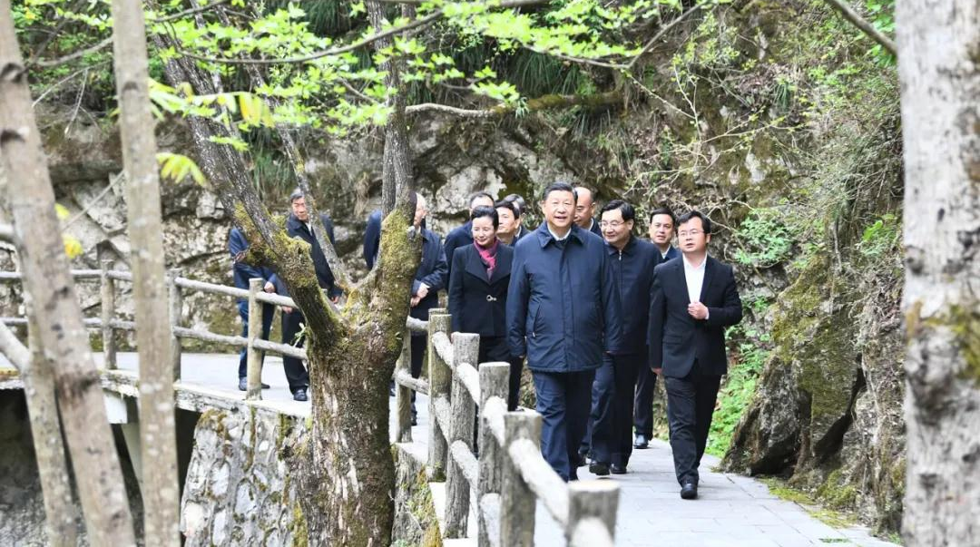 习近平在陕西考察秦岭生态保护情况