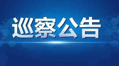 中共十二届桂阳县委第十轮巡察公告
