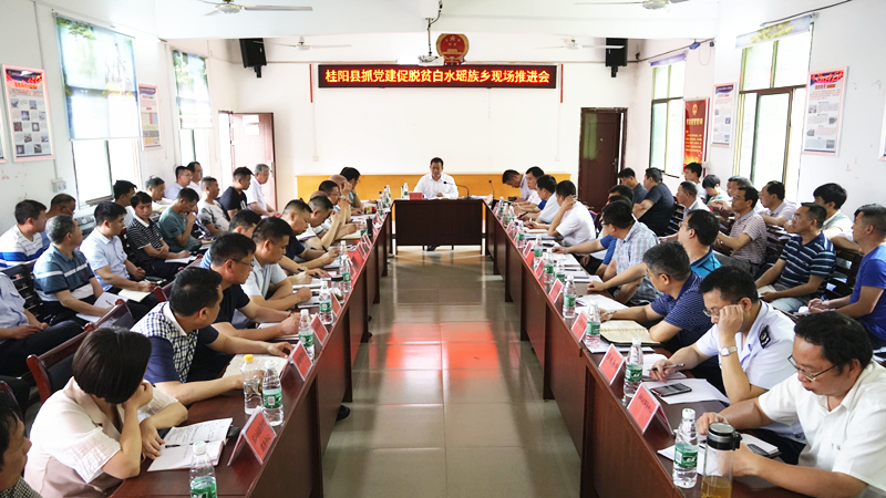 彭生智：突出党建引领   坚持问题导向   决战决胜脱贫攻坚